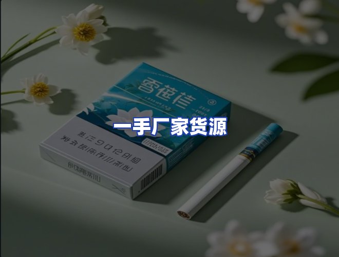 专业团队
